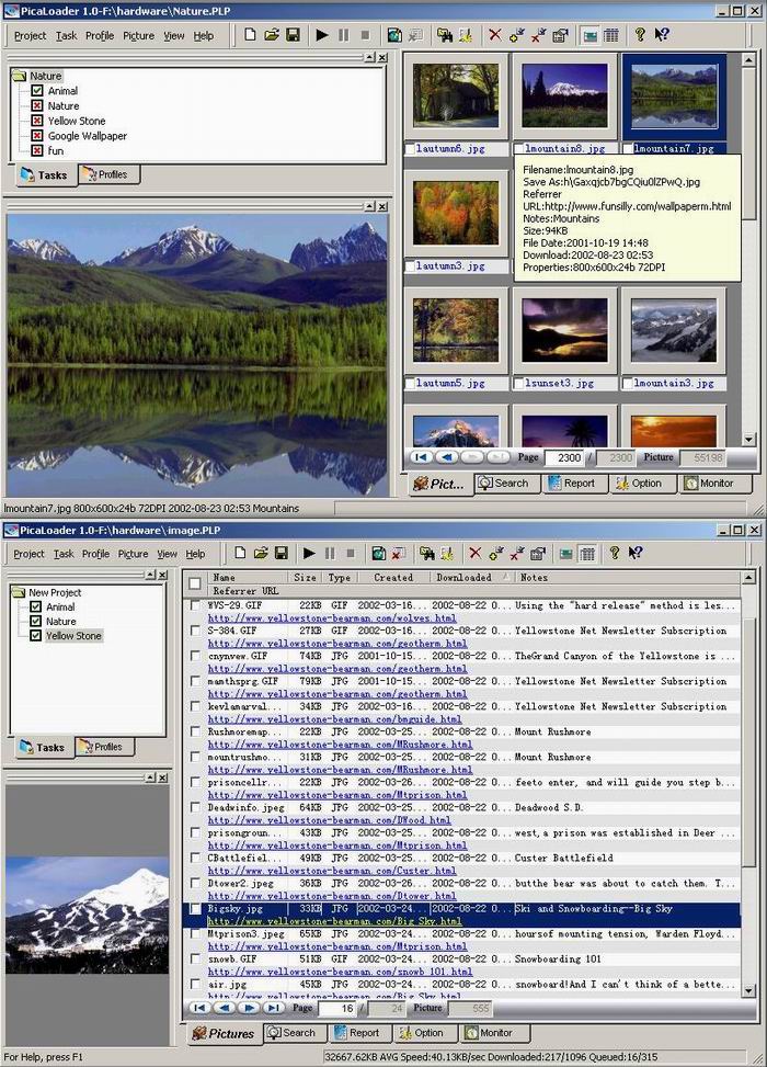 PicaLoader screenshot - Search,download and manage millions of pictures.