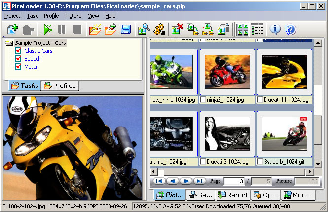 Screenshot of PicaLoader