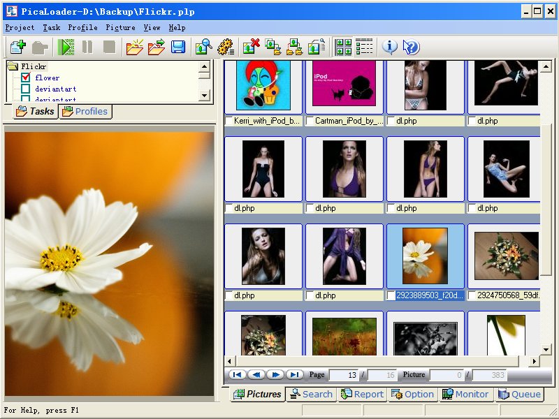 Click to view PicaLoader 1.7.1 screenshot