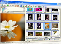 PicaLoader Download